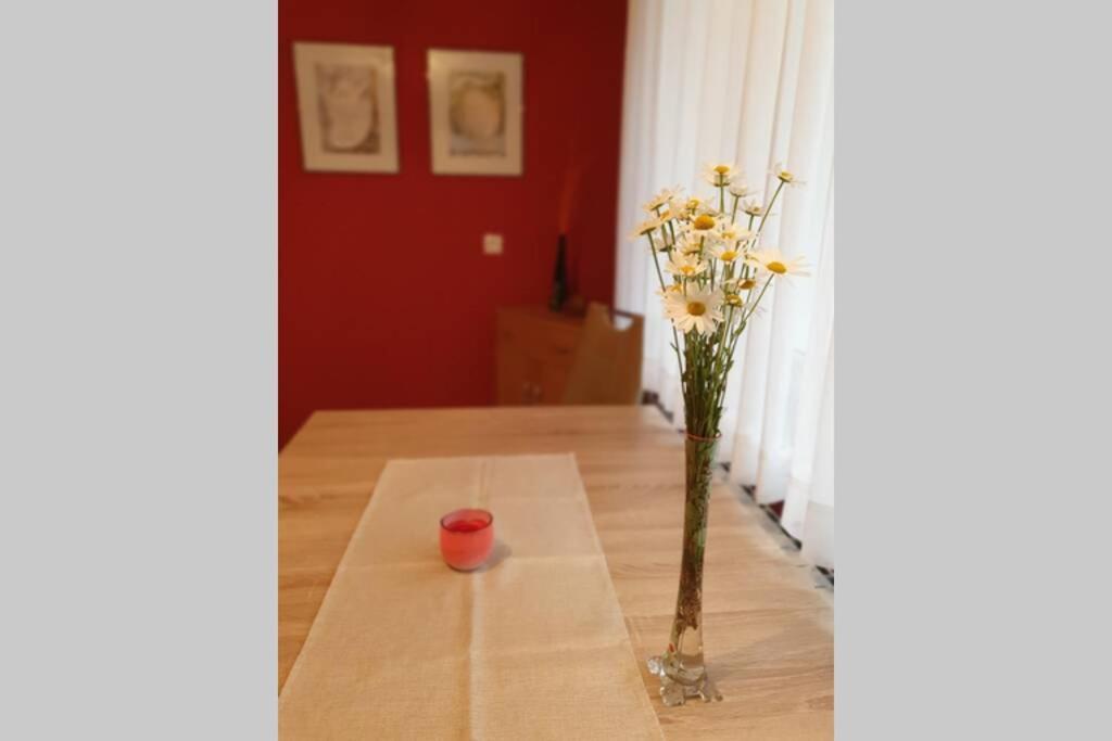 Apartma Kreda موجسترانا المظهر الخارجي الصورة